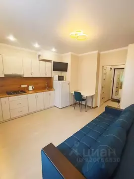 Студия Ставропольский край, Ессентуки ул. Кленовая Роща, 6 (25.0 м)