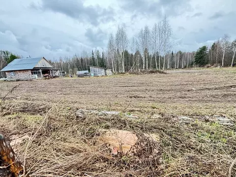 Участок в Коми, Сыктывдинский район, Шошка муниципальное образование, ...
