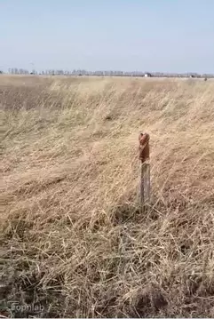 Участок в Тамбовская область, Тамбов ул. Челнавская (7.18 сот.)