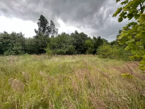 Участок в Московская область, Коломна городской округ, д. Каблучки  ...