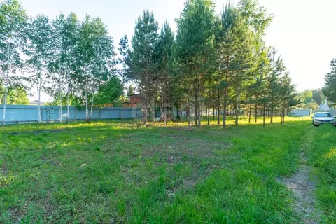 Участок в Тюменская область, Нижнетавдинский муниципальный округ, ...