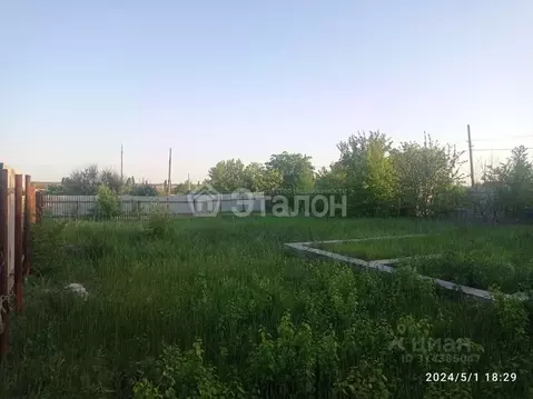 Участок в Волгоградская область, Волгоград Горнополянец СНТ, 6-я ...