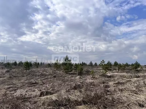 Участок в Липецкая область, Задонский муниципальный округ, с. Казино  ...