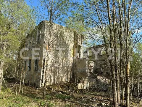 Участок в Ленинградская область, Выборгский район, Каменногорское ...