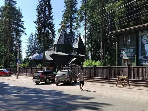 Участок в Ленинградская область, Всеволожск Торговый просп., 241 (12.0 ...