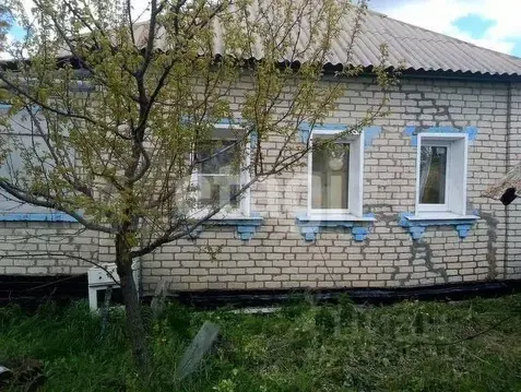 Дом в Белгородская область, Красненский район, Камызинское с/пос, с. ...