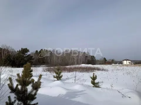 Участок в Свердловская область, Тугулымский муниципальный округ, д. ...