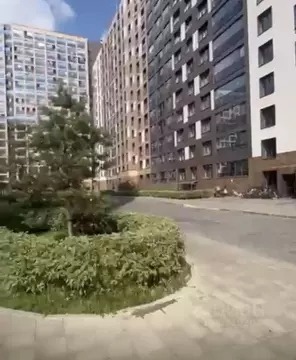 Студия Санкт-Петербург ул. Архивная, 4 (24.37 м)