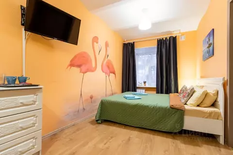 Комната Санкт-Петербург Пушкинская ул., 8 (20.0 м)