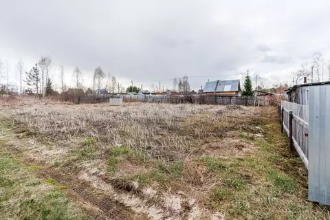 Участок в Тюменская область, Тюменский муниципальный округ, Нива СНТ ...