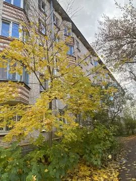 1-к кв. Ленинградская область, Гатчина ул. Карла Маркса, 16 (31.0 м)