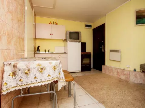 Студия Санкт-Петербург пос. Парголово, ул. Ломоносова, 60 (20.0 м)