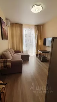 Студия Краснодарский край, Сочи ул. Ленина, 290/6 (23.0 м)