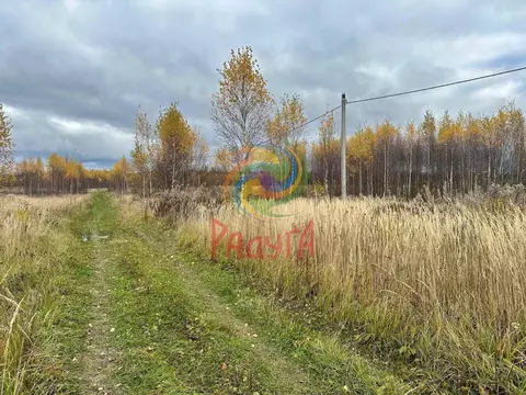 Участок в Ивановская область, Ивановский район, Беляницкое с/пос, д. ...