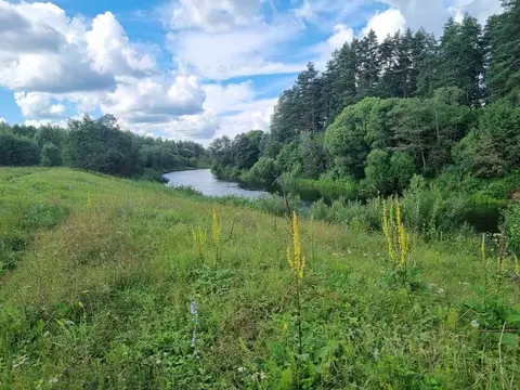 Участок в Тверская область, Калязинский муниципальный округ, д. Сужа  ...