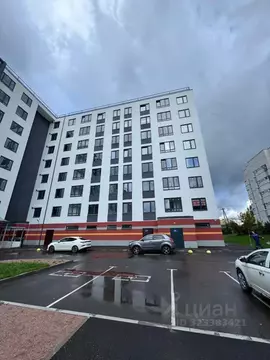 Студия Ленинградская область, Всеволожский район, Романовское с/пос, ...