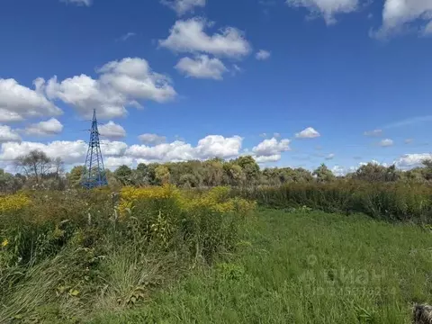 Участок в Московская область, Кашира городской округ, д. Топканово  ...