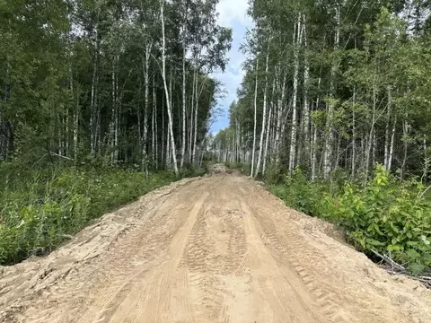 Участок в Тюменская область, Нижнетавдинский муниципальный округ, ...