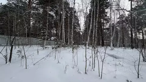 Участок в Иркутская область, Иркутск Прибрежное СНТ,  (10.0 сот.)