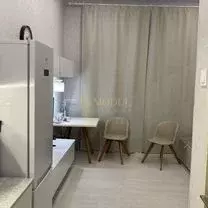 1-к кв. Татарстан, Казань Молодежная ул., 10 (18.9 м)