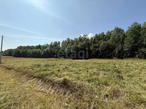 Участок в Коми, Сыктывдинский район, с. Выльгорт  (17.7 сот.)