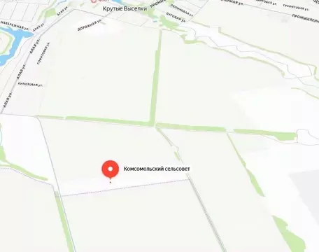 Участок в Тамбовская область, Тамбовский муниципальный округ, д. ...