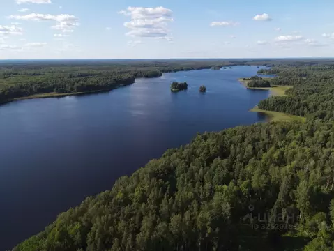 Участок в Ленинградская область, Выборгский район, Гончаровское с/пос, ...