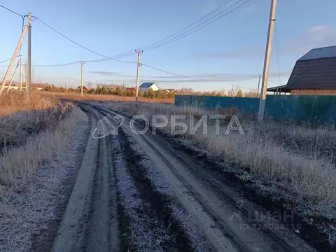 Участок в Тюменская область, Тюменский муниципальный округ, Лоза СНТ ...