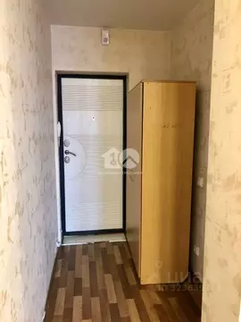 Студия Новосибирская область, Новосибирск ул. Забалуева, 90 (18.0 м)