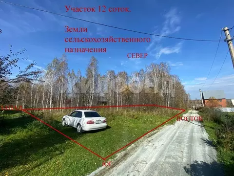 Участок в Новосибирская область, Новосибирский район, Раздольненский ...