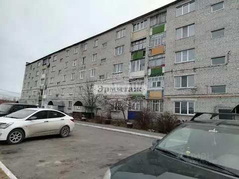 3-к кв. Курганская область, Кетовский муниципальный округ, с. Просвет ...