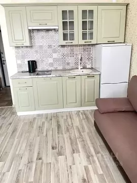 Студия Московская область, Одинцовский городской округ, д. Митькино ...