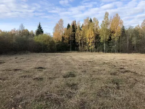 Участок в Московская область, Рузский муниципальный округ, Петряиха кп ...