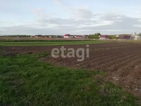 Участок в Брянская область, Брянский район, пос. Мичуринский  (10.0 ...