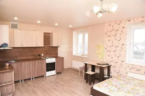 Студия Курганская область, Курган ул. Чкалова, 3 (31.1 м)