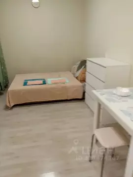 Студия Пермский край, Пермь ул. Советской Армии, 60 (23.0 м)