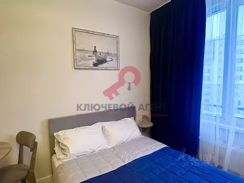 Студия Санкт-Петербург просп. Крузенштерна, 4 (20.0 м)