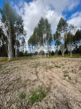 Участок в Ярославская область, Некрасовский муниципальный округ, с. ...
