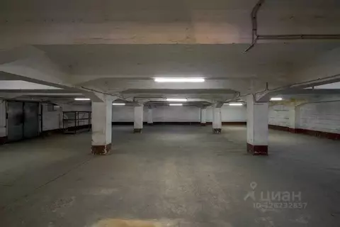 Склад в Санкт-Петербург Киевская ул., 5АЗ (154 м)