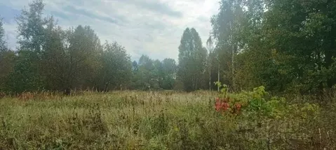 Участок в Нижегородская область, Семеновский муниципальный округ, д. ...