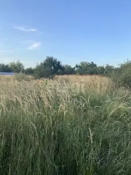 Участок в Воронежская область, Верхнехавский район, Малоприваловское ...
