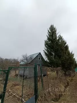 Участок в Москва Осинка СНТ, 38 (6.04 сот.)