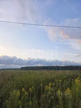 Участок в Марий Эл, Медведевский район, Руэмское с/пос, д. Нолька ул. ...