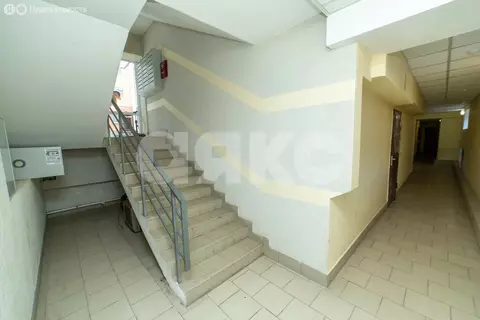 Помещение свободного назначения (26.6 м)