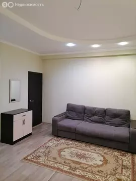 Квартира-студия: Иркутск, улица Павла Красильникова, 219 (38.1 м)