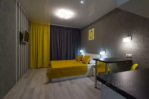 Студия Алтайский край, Барнаул просп. Строителей, 18 (20.0 м)