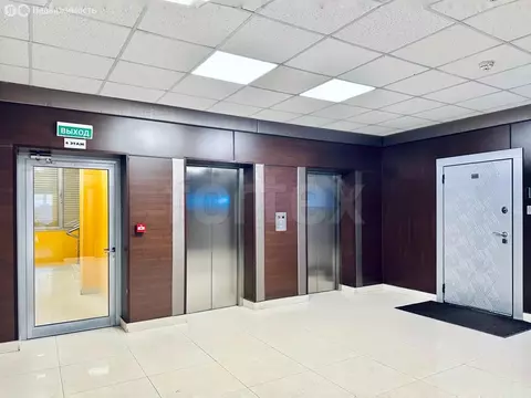 Офис (1329 м)
