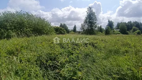 Участок в Калининградская область, Зеленоградский муниципальный округ, ...