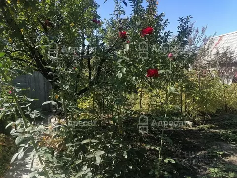 Дом в Волгоградская область, Волгоград Нефтяник СНТ,  (25 м)