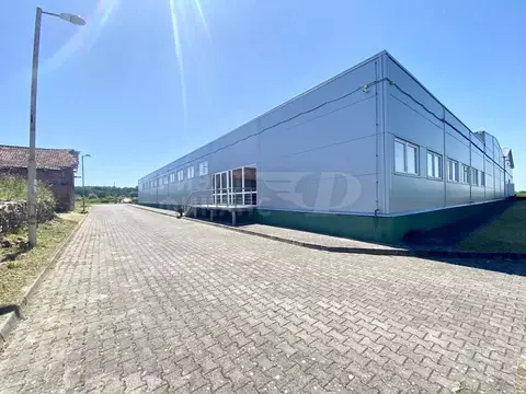 Помещение свободного назначения в Калининградская область, ...